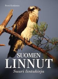 Kirjan kansi Suomen linnut - Suuri lintukirja