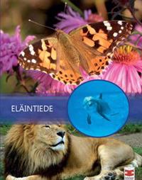 Eläintiede