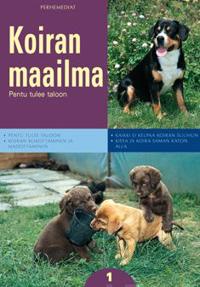 1:Pentu tulee taloon