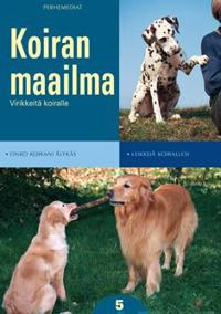 5:Virikkeitä koiralle