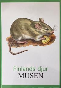 Musen