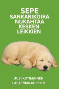 Sepe Sankarikoira nukahtaa kesken leikkien