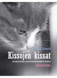 Iisalmen sanomat ja muita mediaesseitä