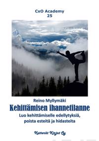 Kehittämisen ihannetilanne