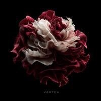 Vortex