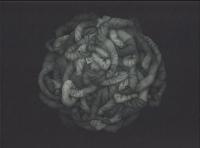 Solmu Ajassa - The Knot in Time (+DVD)