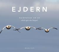 Ejdern - berättelsen om en skärgårdsfågel