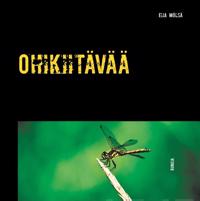 Ohikiitävää