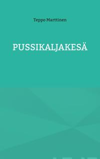 Pussikaljakesä