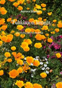 Tuhkimon kengät: ja muita kertomuksia