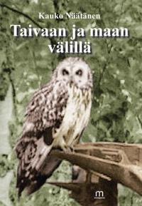 Taivaan ja maan välillä