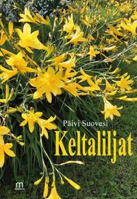 Keltaliljat