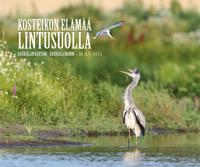 Kosteikon elämää lintusuolla