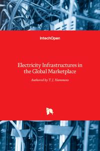 Electricity Infrastructures in the Global Marketplace