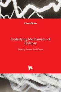 Underlying Mechanisms of Epilepsy