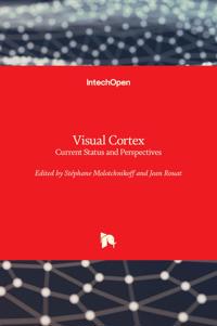 Visual Cortex