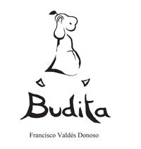Budita