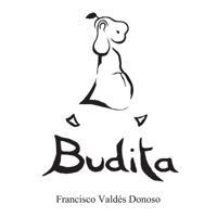 Bokomslag för "Budita"