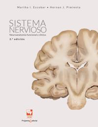 Sistema nervioso
