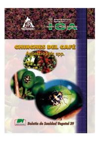 Chinches del Café