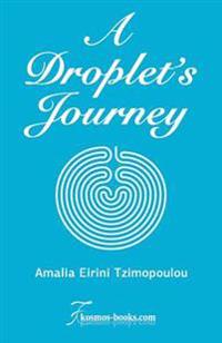 A Droplet's Journey
