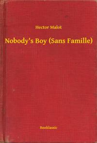 Nobody's Boy (Sans Famille)
