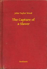 Capture of a Slaver