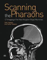 Scanning the Pharaohs