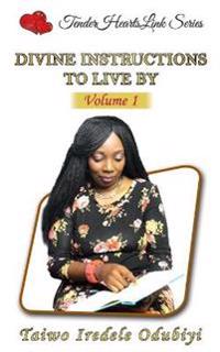 Divine instructions to live by - Volume 1