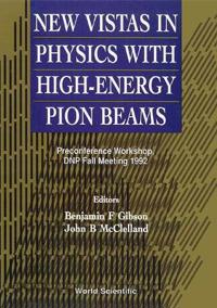 New Vistas In Physics With High-energy Pion Beams - Preconference Workshop, Dnp Fall Meeting 1992