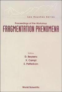Fragmentation Phenomena - Proceedings Of The Workshop
