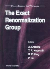 Exact Renormalization Group, The - Proceedings Of The Workshop