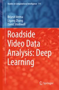 Studies in Computational Intelligence