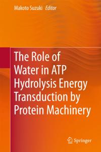 Role of Water in ATP Hydrolysis Energy Transduction by Protein Machinery