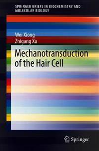Mechanotransduction of the Hair Cell