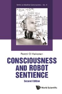 Series On Machine Consciousness