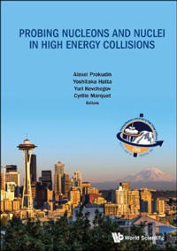Probing Nucleons And Nuclei In High Energy Collisions - Proceedings Of The Int Program Int-18-3