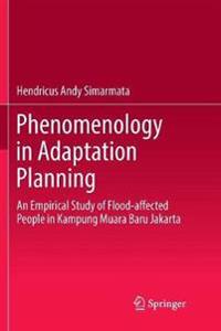 Phenomenology in Adaptation Planning