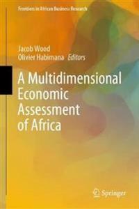 Bokomslag för "A Multidimensional Economic Assessment of Africa"