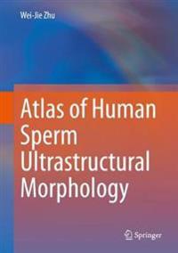 Bokomslag för "Atlas of Human Sperm Ultrastructural Morphology"
