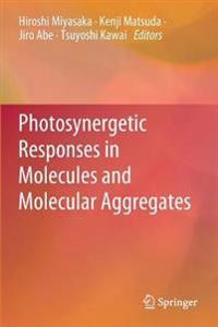 Bokomslag för "Photosynergetic Responses in Molecules and Molecular Aggregates"