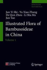 Illustrated Flora of Bambusoideae in China
