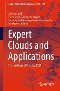 Expert Clouds and Applications