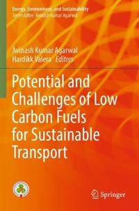 Potential and Challenges of Low Carbon Fuels for Sustainable Transport