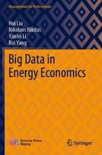 Bokomslag för "Big Data in Energy Economics"