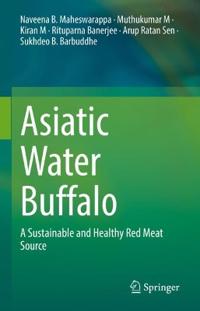 Asiatic Water Buffalo