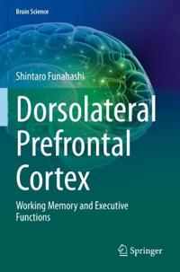 Dorsolateral Prefrontal Cortex