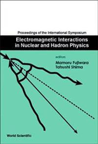 Electromagnetic Interactions In Nuclear And Hadron Physics, Proceedings Of The International Symposium
