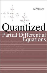Quantized Partial Differential Equations
