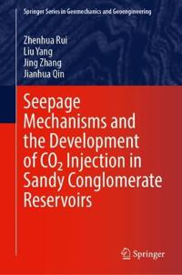 Seepage Mechanisms and the Development of CO₂ Injection in Sandy Conglomerate Reservoirs